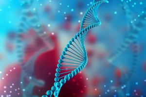 DNA Polymerase Market