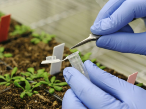 Agricultural Biotechnology Market