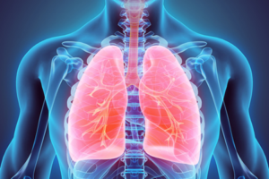 In Vitro Lung Model Market