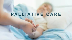 Palliative Care Market