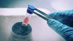 Stem Cell Banking Market